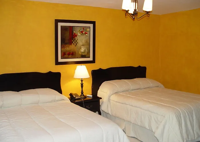 Pet Friendly hotel: Hotel Aragon